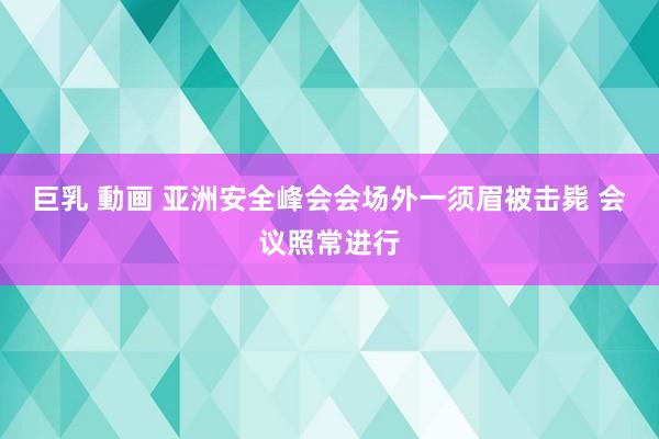 巨乳 動画 亚洲安全峰会会场外一须眉被击毙 会议照常进行